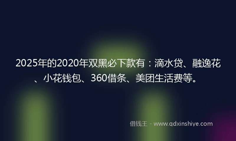 2025年的2020年双黑必下款有：滴水贷、融逸花、小花钱包、360借条、美团生活费等。