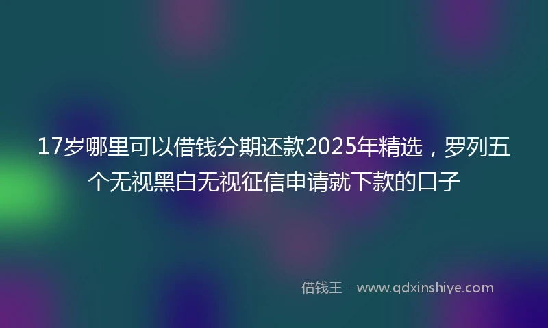 17岁哪里可以借钱分期还款2025年精选，罗列五个无视黑白无视征信申请就下款的口子