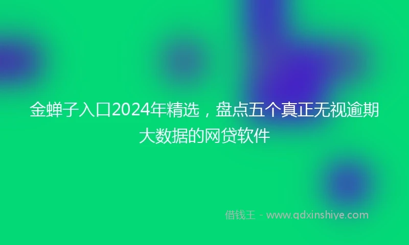 金蝉子入口2024年精选，盘点五个真正无视逾期大数据的网贷软件