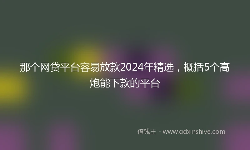 那个网贷平台容易放款2024年精选，概括5个高炮能下款的平台