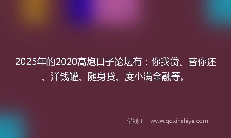 2025年的2020高炮口子论坛有：你我贷、替你还、洋钱罐、随身贷、度小满金融等。