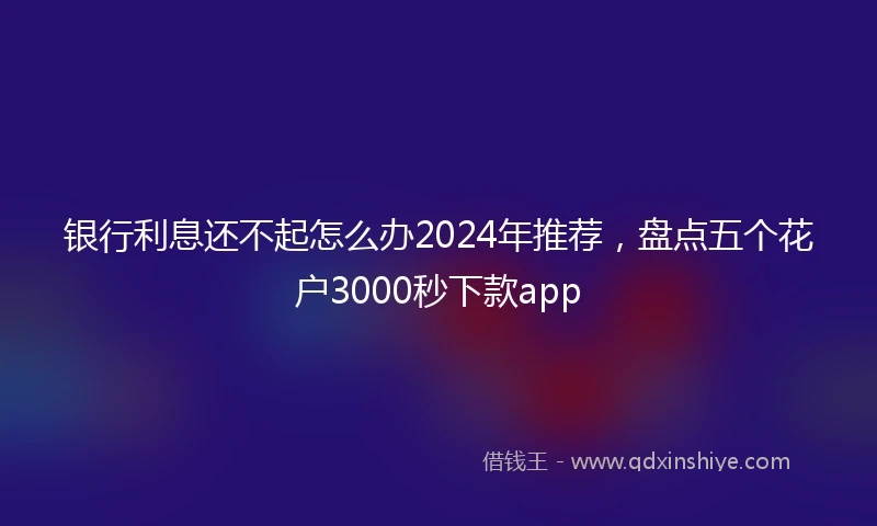 银行利息还不起怎么办2024年推荐，盘点五个花户3000秒下款app