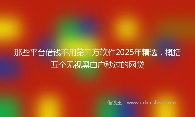 那些平台借钱不用第三方软件2025年精选，概括五个无视黑白户秒过的网贷