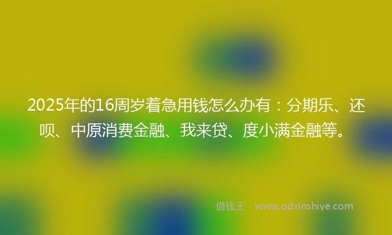 2025年的16周岁着急用钱怎么办有：分期乐、还呗、中原消费金融、我来贷、度小满金融等。