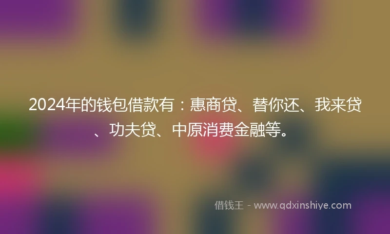 2024年的钱包借款有：惠商贷、替你还、我来贷、功夫贷、中原消费金融等。