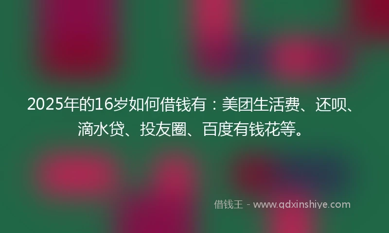 2025年的16岁如何借钱有：美团生活费、还呗、滴水贷、投友圈、百度有钱花等。