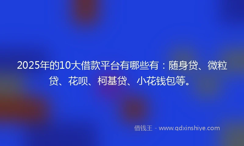 2025年的10大借款平台有哪些有：随身贷、微粒贷、花呗、柯基贷、小花钱包等。