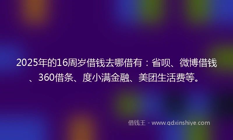 2025年的16周岁借钱去哪借有：省呗、微博借钱、360借条、度小满金融、美团生活费等。