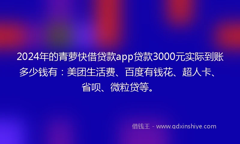2024年的青萝快借贷款app贷款3000元实际到账多少钱有：美团生活费、百度有钱花、超人卡、省呗、微粒贷等。