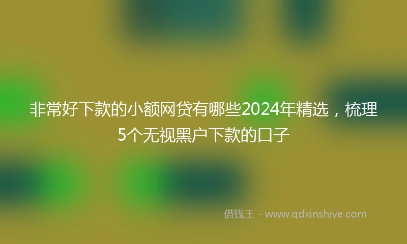 非常好下款的小额网贷有哪些2024年精选，梳理5个无视黑户下款的口子