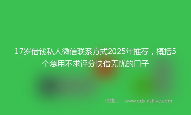 17岁借钱私人微信联系方式2025年推荐，概括5个急用不求评分快借无忧的口子