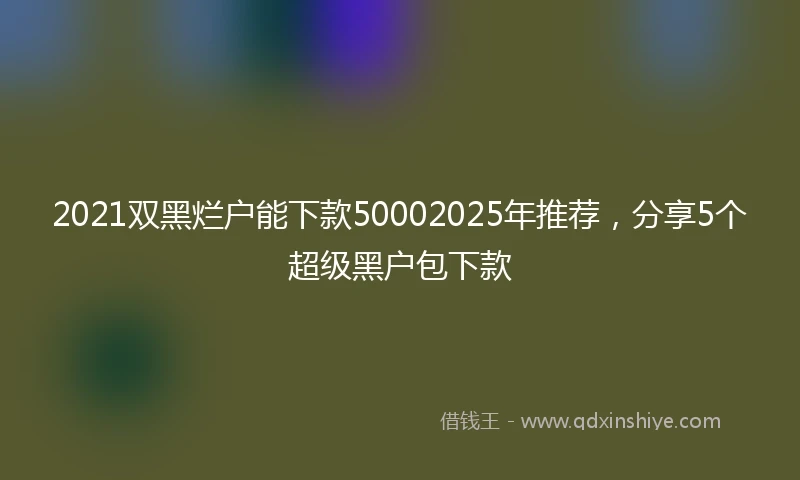 2021双黑烂户能下款50002025年推荐，分享5个超级黑户包下款