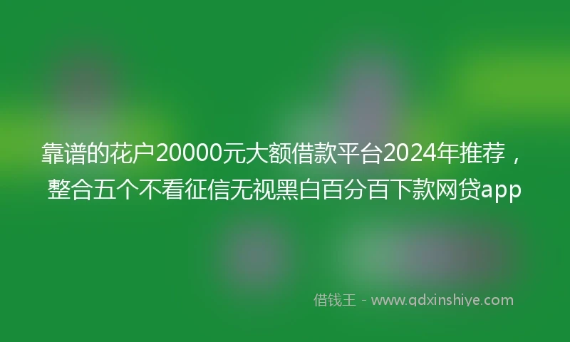 靠谱的花户20000元大额借款平台2024年推荐，整合五个不看征信无视黑白百分百下款网贷app