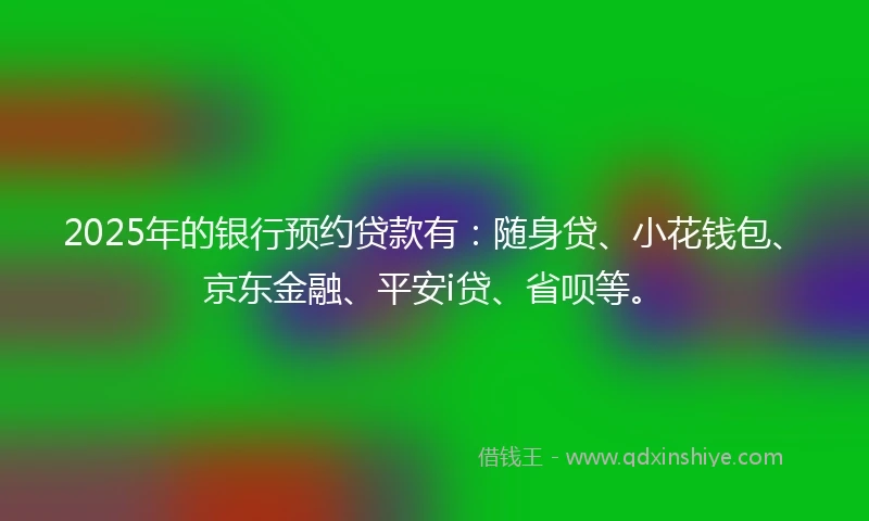 2025年的银行预约贷款有：随身贷、小花钱包、京东金融、平安i贷、省呗等。
