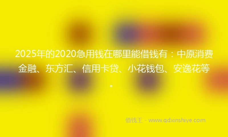 2025年的2020急用钱在哪里能借钱有：中原消费金融、东方汇、信用卡贷、小花钱包、安逸花等。