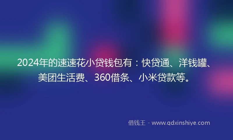2024年的速速花小贷钱包有：快贷通、洋钱罐、美团生活费、360借条、小米贷款等。