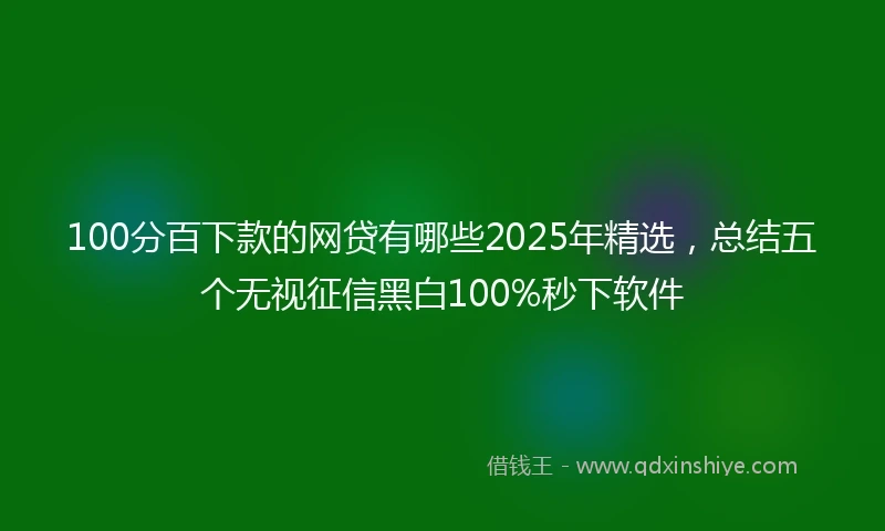 100分百下款的网贷有哪些2025年精选，总结五个无视征信黑白100%秒下软件