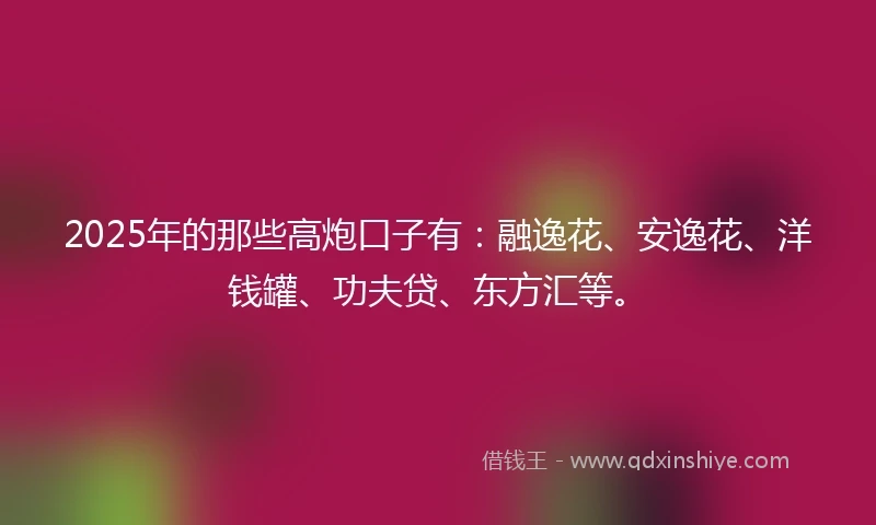 2025年的那些高炮口子有：融逸花、安逸花、洋钱罐、功夫贷、东方汇等。