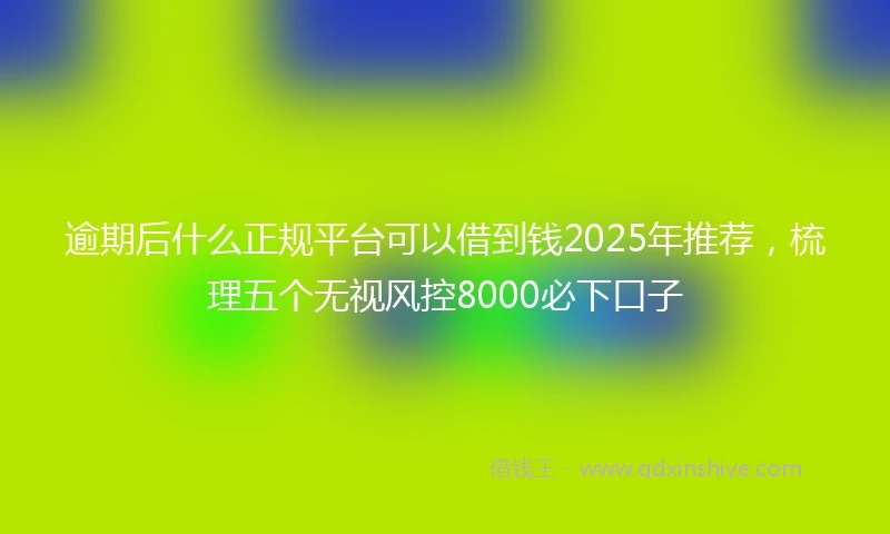 逾期后什么正规平台可以借到钱2025年推荐，梳理五个无视风控8000必下口子