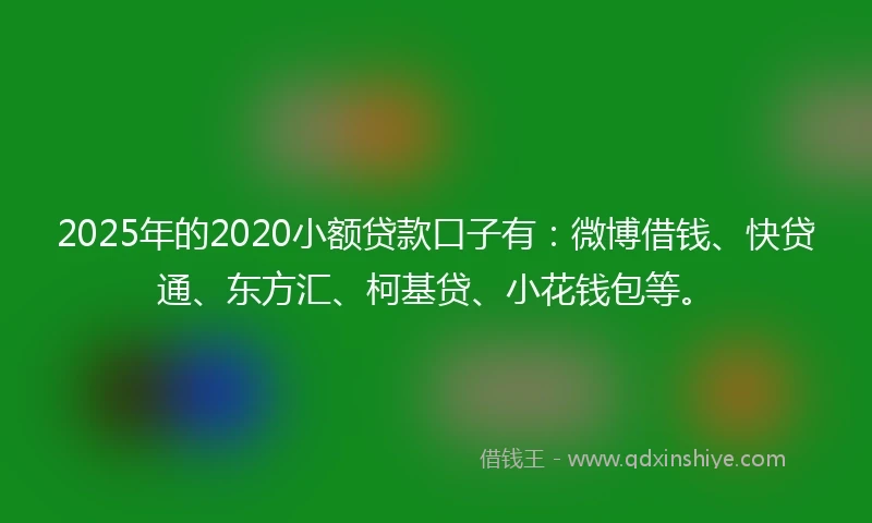 2025年的2020小额贷款口子有：微博借钱、快贷通、东方汇、柯基贷、小花钱包等。