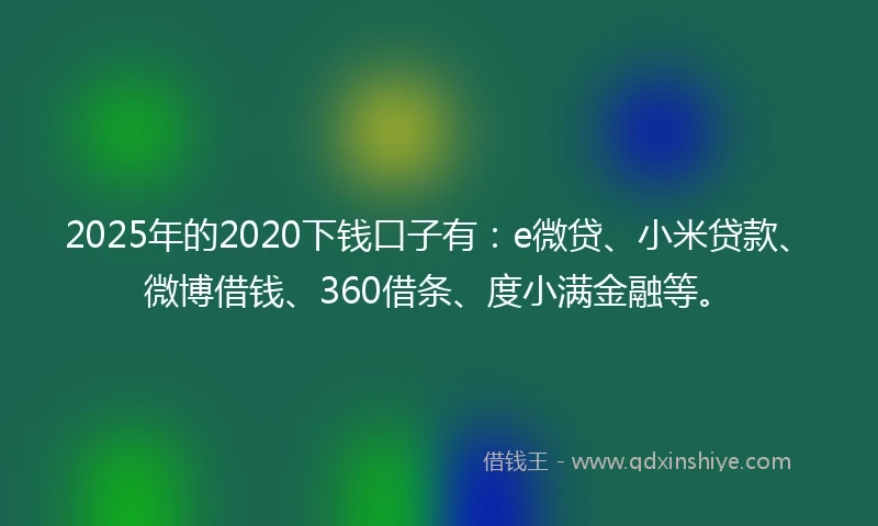 2025年的2020下钱口子有：e微贷、小米贷款、微博借钱、360借条、度小满金融等。