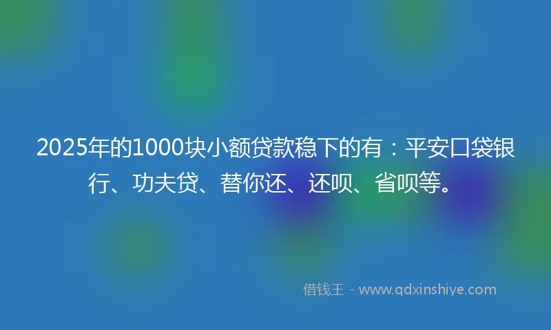 2025年的1000块小额贷款稳下的有：平安口袋银行、功夫贷、替你还、还呗、省呗等。