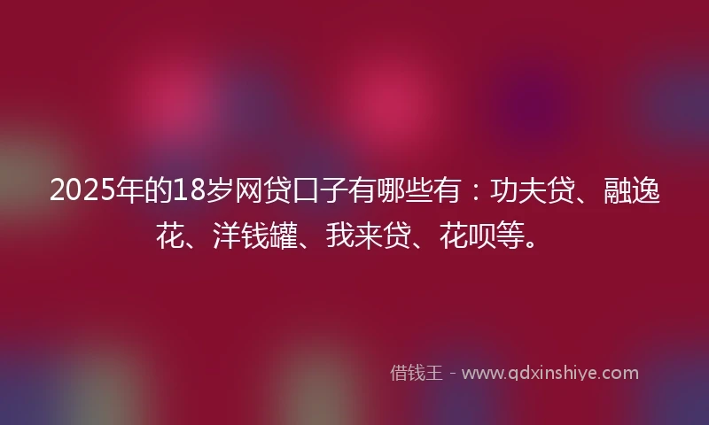 2025年的18岁网贷口子有哪些有：功夫贷、融逸花、洋钱罐、我来贷、花呗等。