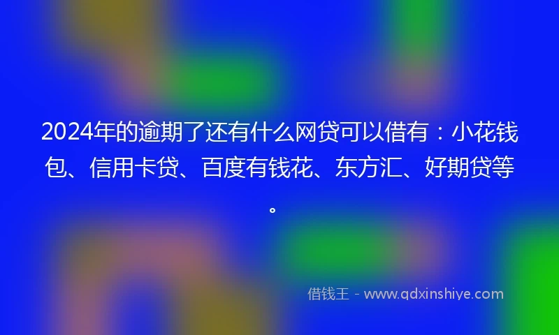 2024年的逾期了还有什么网贷可以借有：小花钱包、信用卡贷、百度有钱花、东方汇、好期贷等。