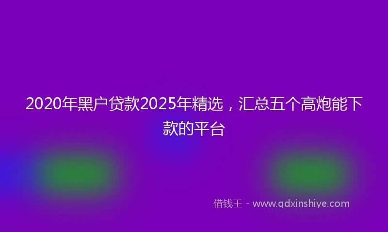 2020年黑户贷款2025年精选，汇总五个高炮能下款的平台