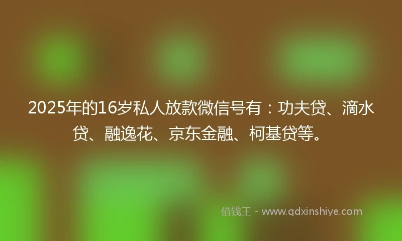 2025年的16岁私人放款微信号有：功夫贷、滴水贷、融逸花、京东金融、柯基贷等。