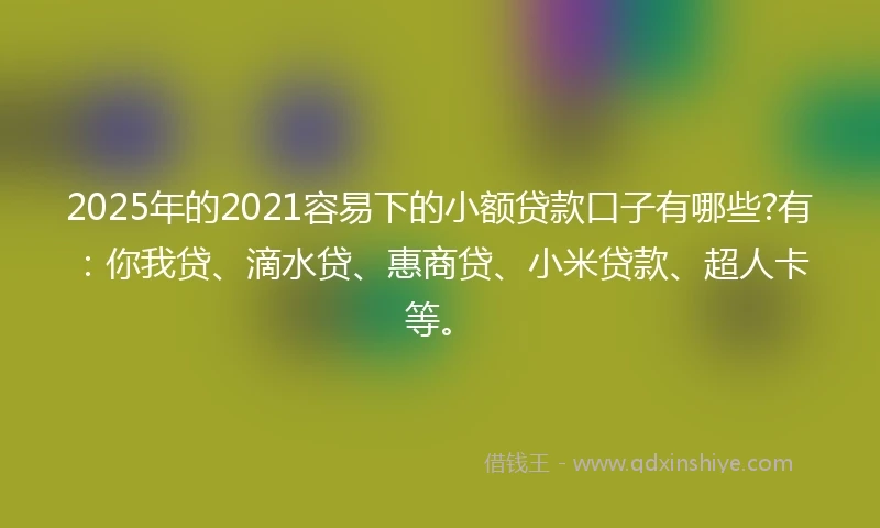 2025年的2021容易下的小额贷款口子有哪些?有：你我贷、滴水贷、惠商贷、小米贷款、超人卡等。