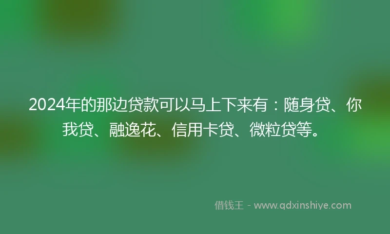 2024年的那边贷款可以马上下来有：随身贷、你我贷、融逸花、信用卡贷、微粒贷等。