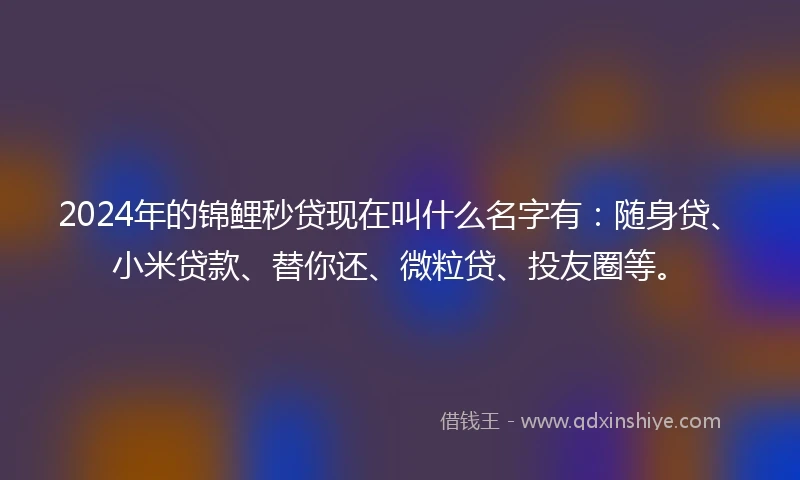 2024年的锦鲤秒贷现在叫什么名字有：随身贷、小米贷款、替你还、微粒贷、投友圈等。