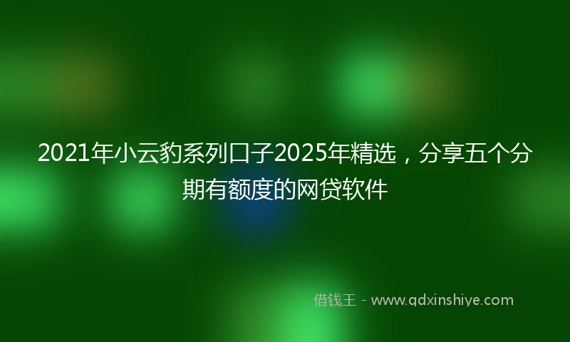2021年小云豹系列口子2025年精选，分享五个分期有额度的网贷软件