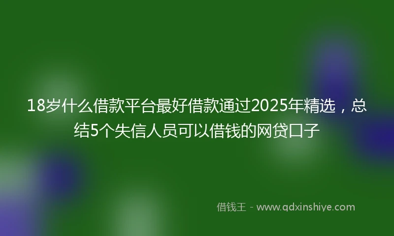 18岁什么借款平台最好借款通过2025年精选，总结5个失信人员可以借钱的网贷口子