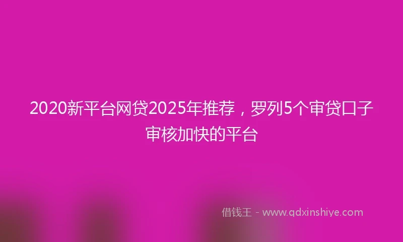 2020新平台网贷2025年推荐，罗列5个审贷口子审核加快的平台