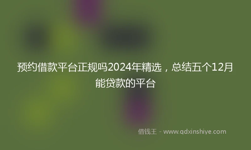 预约借款平台正规吗2024年精选，总结五个12月能贷款的平台
