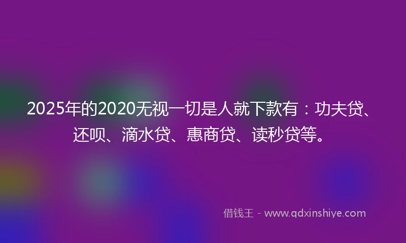 2025年的2020无视一切是人就下款有：功夫贷、还呗、滴水贷、惠商贷、读秒贷等。