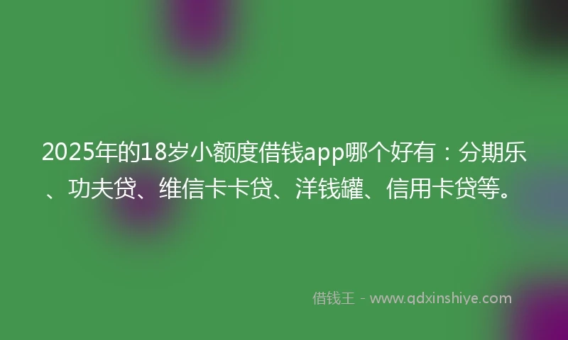 2025年的18岁小额度借钱app哪个好有：分期乐、功夫贷、维信卡卡贷、洋钱罐、信用卡贷等。