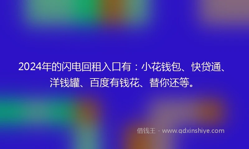 2024年的闪电回租入口有：小花钱包、快贷通、洋钱罐、百度有钱花、替你还等。