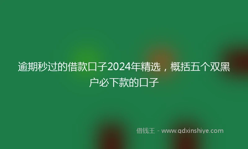 逾期秒过的借款口子2024年精选，概括五个双黑户必下款的口子