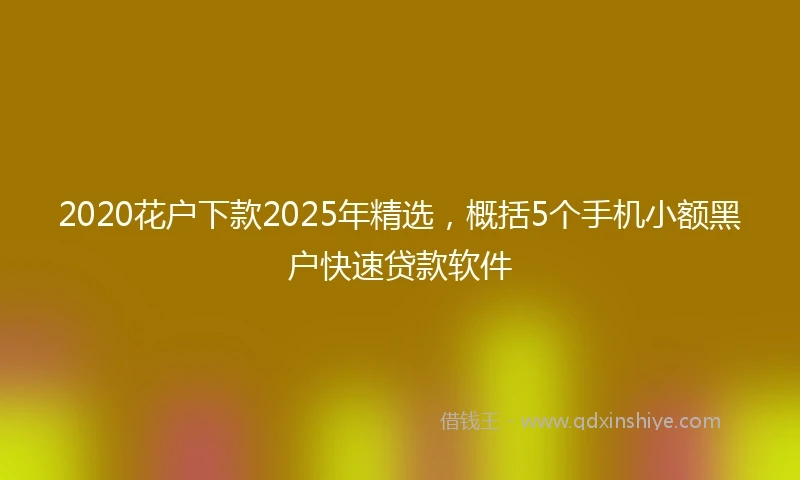 2020花户下款2025年精选，概括5个手机小额黑户快速贷款软件