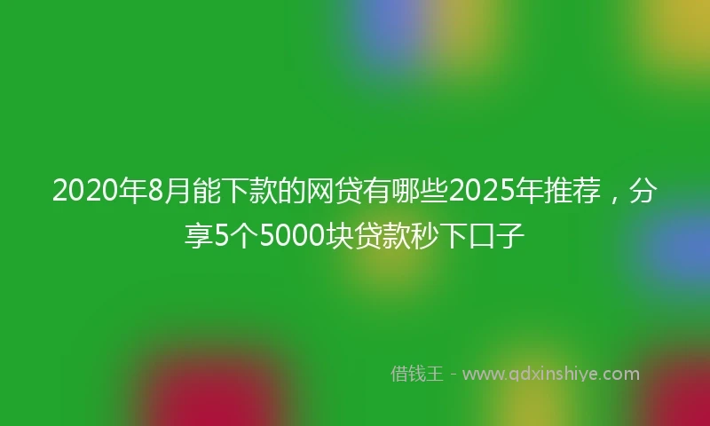 2020年8月能下款的网贷有哪些2025年推荐，分享5个5000块贷款秒下口子