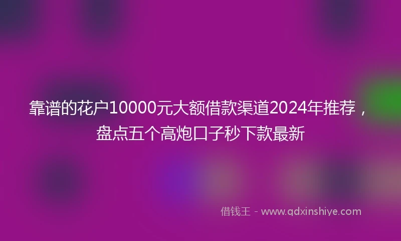 靠谱的花户10000元大额借款渠道2024年推荐，盘点五个高炮口子秒下款最新