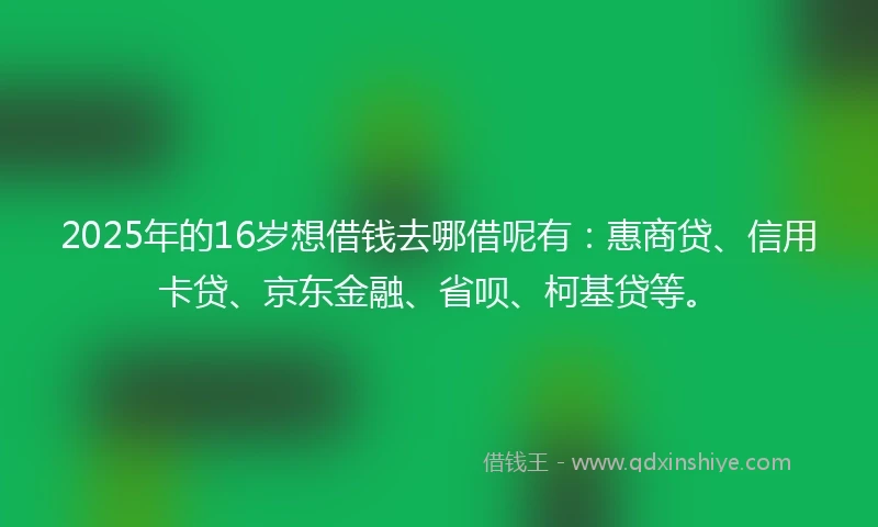 2025年的16岁想借钱去哪借呢有：惠商贷、信用卡贷、京东金融、省呗、柯基贷等。
