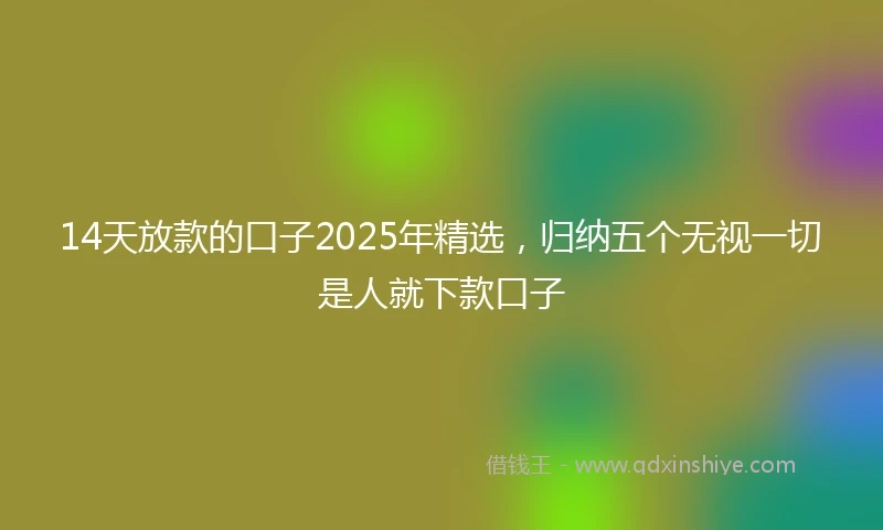 14天放款的口子2025年精选，归纳五个无视一切是人就下款口子