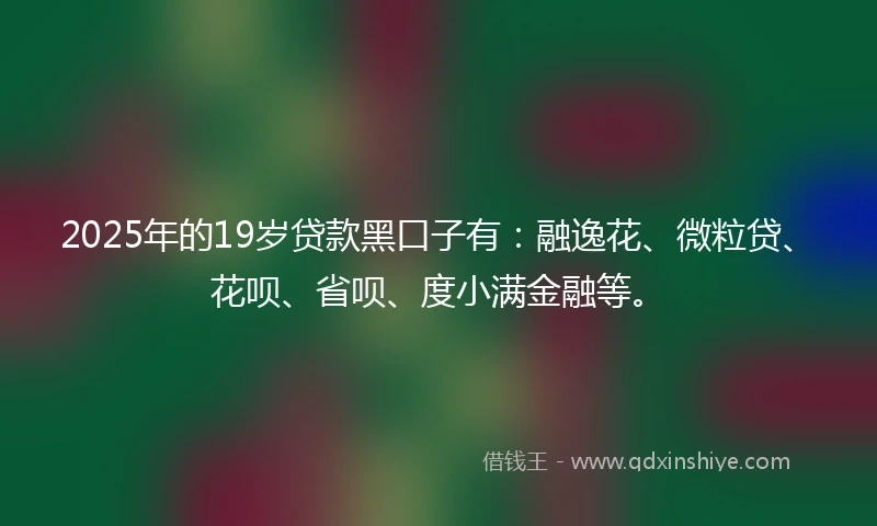 2025年的19岁贷款黑口子有：融逸花、微粒贷、花呗、省呗、度小满金融等。