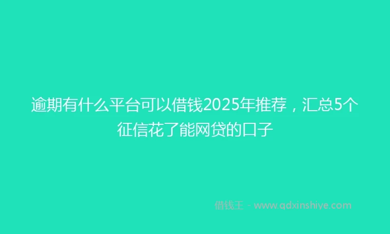 逾期有什么平台可以借钱2025年推荐，汇总5个征信花了能网贷的口子