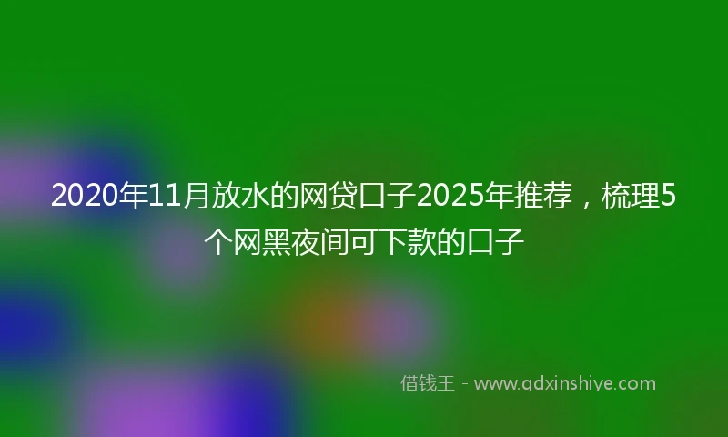 2020年11月放水的网贷口子2025年推荐，梳理5个网黑夜间可下款的口子