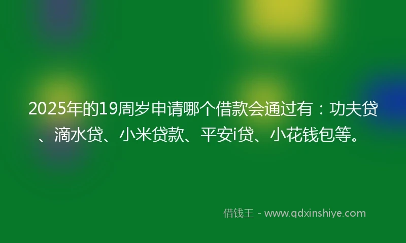 2025年的19周岁申请哪个借款会通过有：功夫贷、滴水贷、小米贷款、平安i贷、小花钱包等。